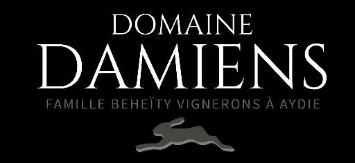 Logo DOMAINE DAMIENS