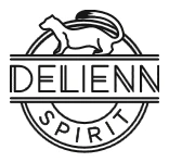 Logo de Delienn Spirit